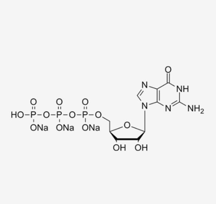 GTP 100mM Solution Guanosine-5'-Triphosphate Trisodium Salt CAS 36051-31-7