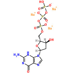 ODM 2'-Deoxyguanosine-5'-Triphosphate Sodium Salt Solution CAS 93919-41-6