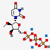 DTTP Deoxynucleotides 2'-Deoxythymidine-5'-Triphosphate Sodium Salt Solution CAS 18423-43-3