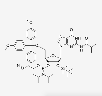 DMT-2'-O-TBDMS-G(IBu)-CE-RNA Phosphoramidites Custom RNA Oligo Synthesis CAS 147201-04-5