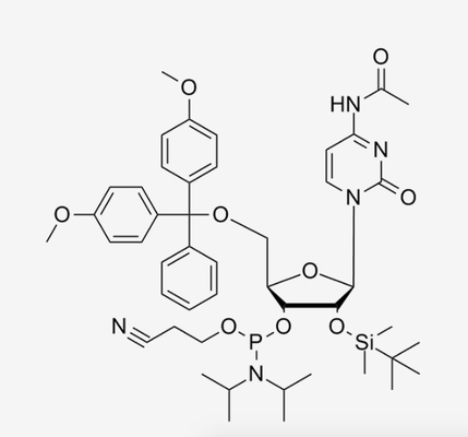 Custom -2'-O-TBDMS-C(Ac)-CE-Phosphoramidite RNA Oligonucleotides Oligos C47H64N5O9PSi CAS 121058-88-6