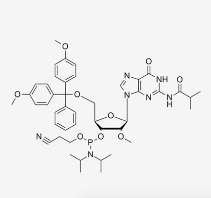 OEM 2'-OMe-iBu-G-CE-RNA Phosphoramidite CAS 150780-67-9 N2-iBu-5'-O-DMT-2'-OMe-G-CE