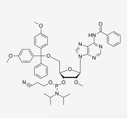 N6-Bz-5'-O-DMT-2'-OMe-A-CE Phosphoramidite Synthesis CAS 110782-31-5 C48H54N7O8P