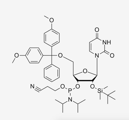 5'-DMT-2'O-TBDMS-RU Nucleoside Phosphoramidite Powder CAS 118362-03-1