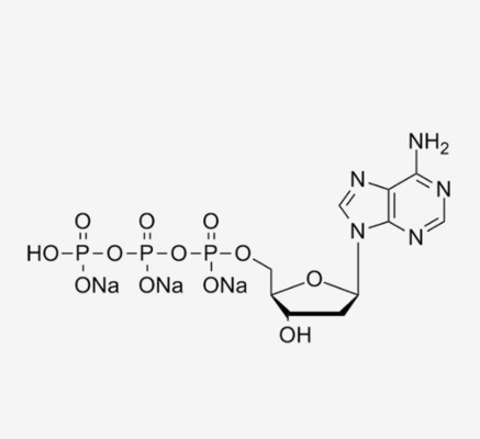 dATP 100 mM Solution/2'-Deoxyadenosine-5'-Triphosphate/HPLC≥99%/CAS NO.: 1927-31-7/Brand: HUANA