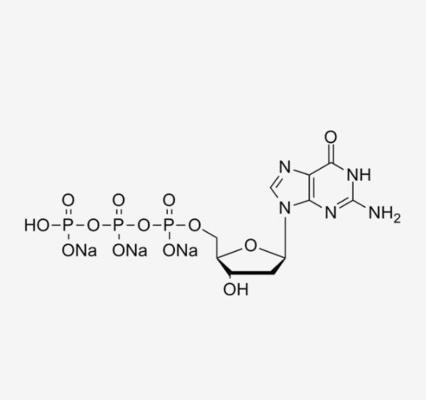 dGTP 100 mM Solution/HPLC≥99%/2'-Deoxyguanosine-5'-triphosphate trisodium salt/CAS NO.: 93919-41-6/Brand: HUANA
