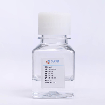 ISO9001 2'-Deoxyadenosine-Triphosphate In PCR Liquid 5'-DATP CAS 1927-31-7 100mM Solution