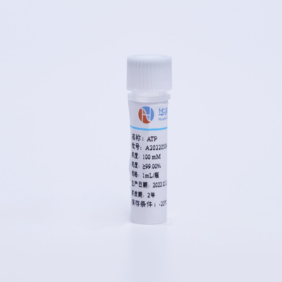 CAS 987-65-5 Colorless Ribonucleotides 100mM ATP Solution Adenosine 5'-Triphosphate Disodium Salt