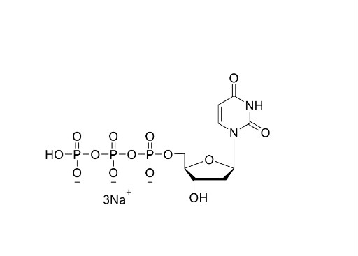 DUTP Deoxynucleotides 2'-Deoxyuridine-5'-Triphosphate