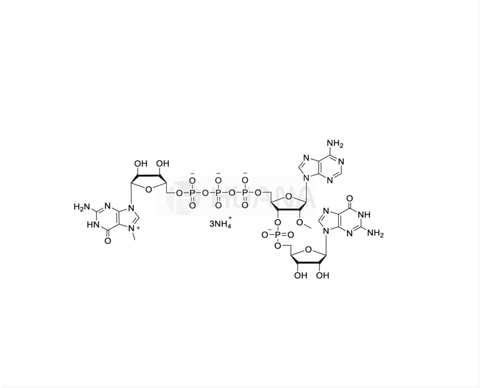 CAP GAG m7G(5')ppp(5')(2'OMeA)pG 100mM Ammonium Solution, GMP grade