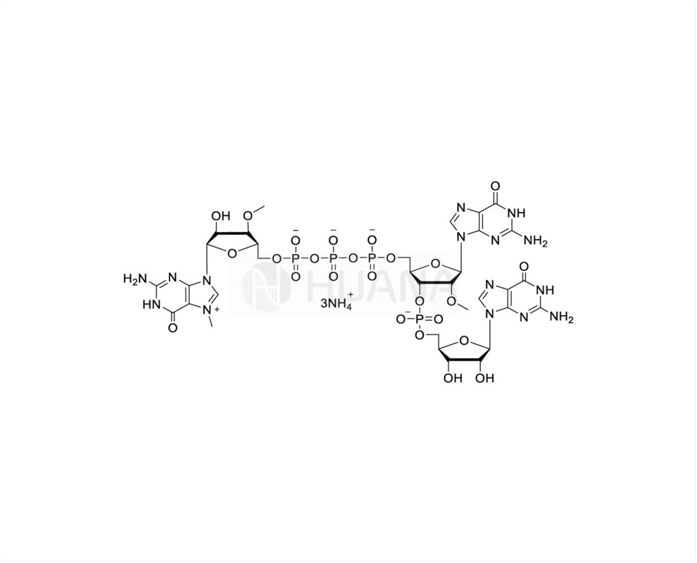 CAP GGG(3'OMe) m7(3'OMeG)(5')ppp(5')(2'OMeG)pG 100mM Ammonium Solution