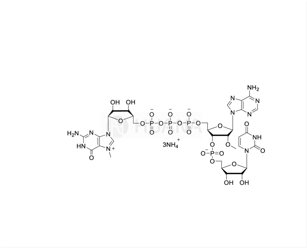 CAP GAU m7G(5')ppp(5')(2'OMeA)pU 100mM Ammonium Solution, GMP grade