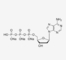 Sodium Salt DATP In PCR 100mM Solution 2'-Deoxyadenosine-5'-Triphosphate CAS 1927-31-7