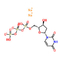 DUTP Deoxynucleotides 2'-Deoxyuridine-5'-Triphosphate Sodium Salt Solution CAS 102814-08-4