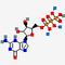 DATP.Na3  2'-Deoxyadenosine-5'-Triphosphate Sodium Salt Solution CAS 1927-31-7