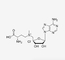 Clear SAM-Cl (3S)-5'-((3-Amino-3-Carboxypropyl)Methylsulphonio)-5'-Deoxyadenosine Chloride CAS 24346-00-7