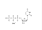 DUTP Deoxynucleotides 2'-Deoxyuridine-5'-Triphosphate Sodium Salt Solution